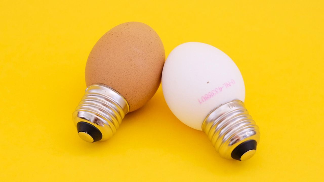 Tojáslámpa különlegesség Ayano Kodától a Dutch Design Week-en!